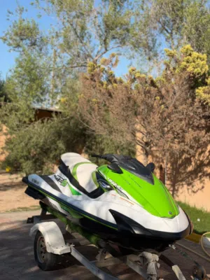 Yamaha 2016FZS