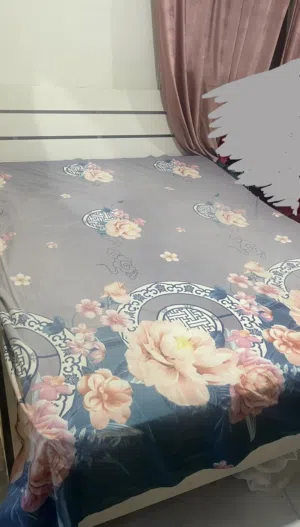 Bed wit mattress