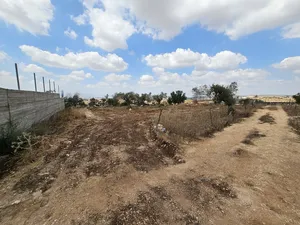 ‏الاستخدام المتعدد ‏.‏ 878 م٢ ‏.‏ المالك‏0