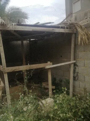 براكة للبيع 3 متر ف 2.5