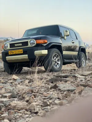 2010Toyota FJ