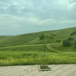 امير سعد عبدالجبار 