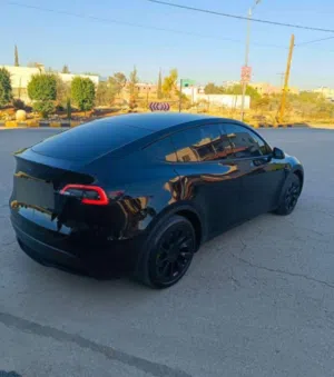 Used Tesla Model Y in Amman