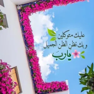 البوسعيدي 