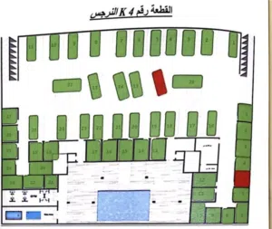 شقه لقطةةفي النرجس