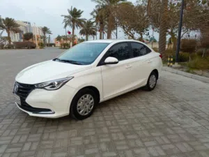 Changan Alsivin  2024 very good conditiin