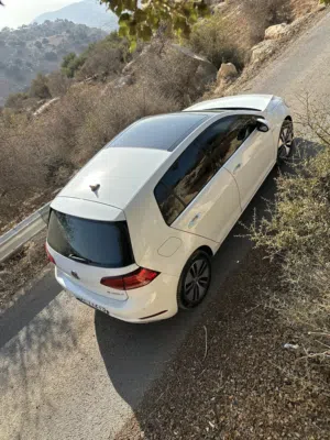 Egolf 2019