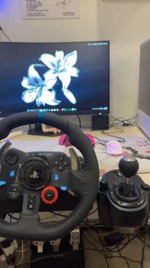 Logitech g29 steering wheeling and shifter