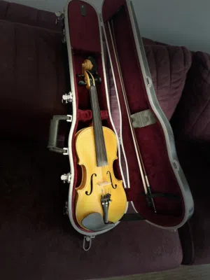Hand made professional violin