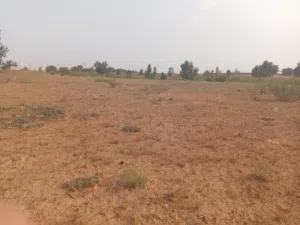 Mixed Use Land for Rent in Tripoli Wadi Al-Rabi