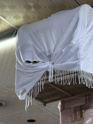بلبل البيع فحل خام بصراوي