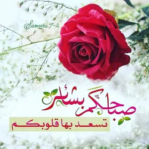 ‏جمال‏2