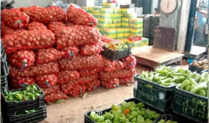 خضر وفواكه طازجة يومياً بيع بالجمله