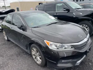 Used Honda Accord in Al Batinah