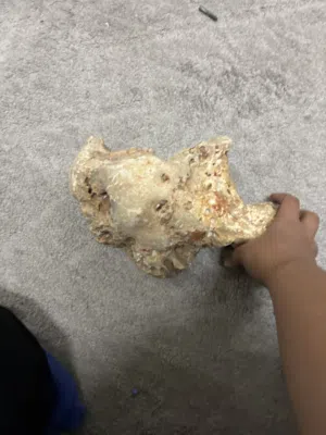 حجر احواض سمك للبيع