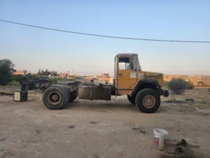 ديوس صحراوي للبيع