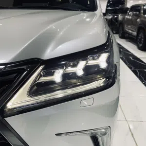 منتظر 