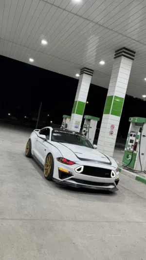 كت بكامل RTR اصلي 
Gt  موستنك