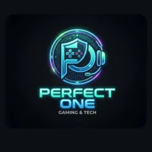 PERFECT ONE 