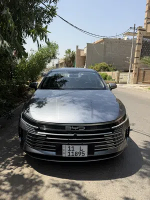 دستروير لو رصاصي