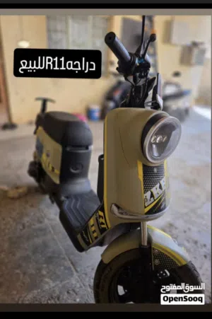 دراجة شحن R11