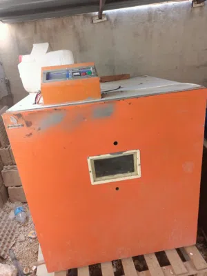 فقاسة نيو ستار للبيع