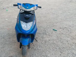 سكنس ثعلب 2024