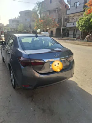 Used Toyota Corolla in Assiut
