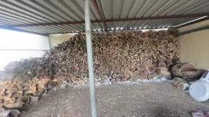 للبيع : حطب سمر