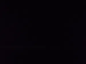 اوس المعمري 
