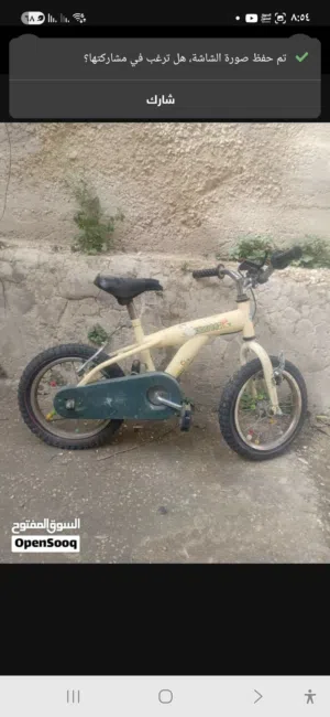 بسكليت  قياس 14