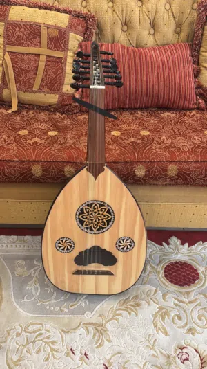 آلة عود موسيقي مستخدم للبيع