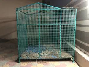Bird and animal cage