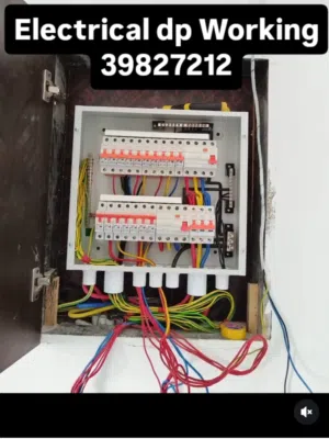 Electrical and Plumber Working 24 hours