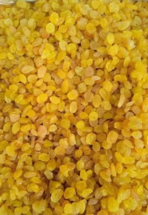 Premium Iranian Golden & Sun-Dried Raisins –  زبيب إيراني فاخر للتصدير – مورد ومصدر مباش