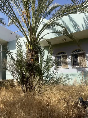 ٤ غرف نوم . حمّامين . 200 م٢2