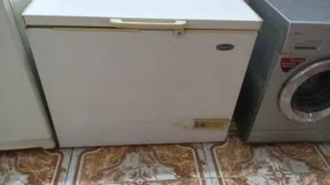 فريز شرط الفحص