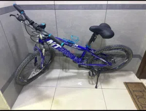 Medium size bicycle for sale.