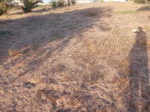 Mixed Use Land for Rent in Tripoli Wadi Al-Rabi