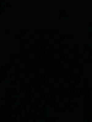 مطلوب كلب جيرمان