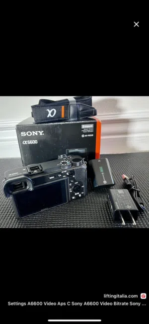 Sony a6600