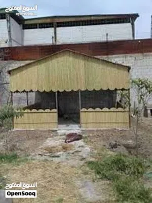 عمل معرشات قصيب