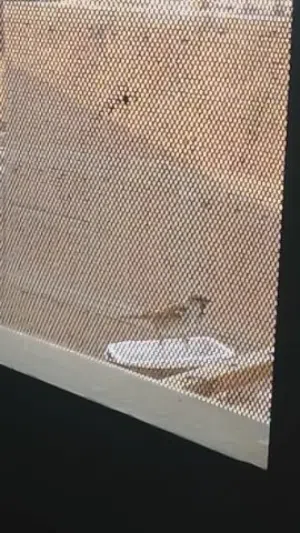 مخزن للبيع