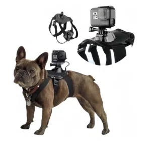Dog harness for GoPro