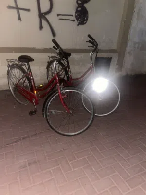 بيع سيكل ياباني