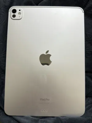 Apple iPad 256 GB in Muscat