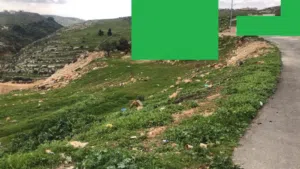 نمره 500 متر , الدربيات / مالك مباشرة