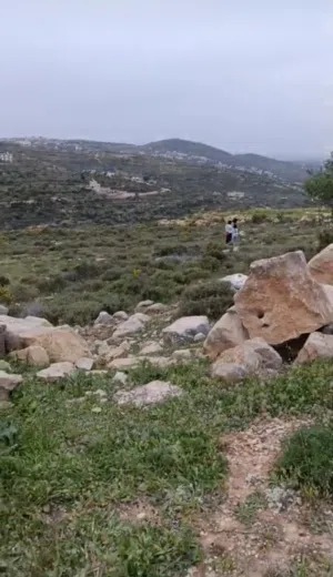 Residential Land for Sale in Ramallah and Al-Bireh Abu Shukhaydam