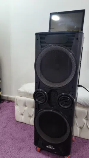 Acoustic Tecnologia AK-212شاشة"