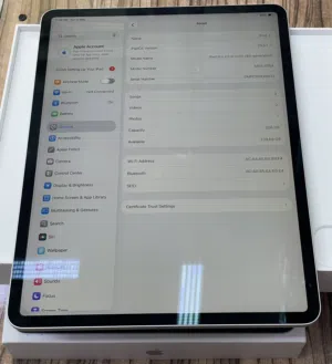 iPad pro 245gb WiFi 4th generation 12.9inch